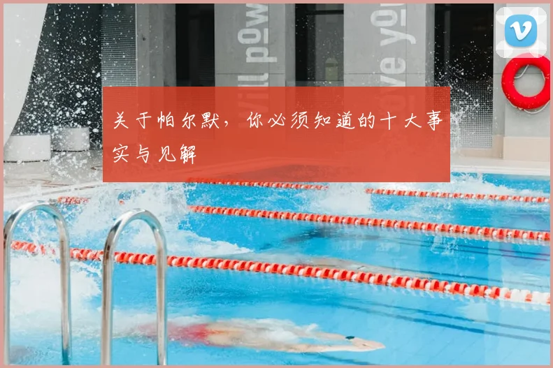 关于帕尔默,你必须知道的十大事实与见解